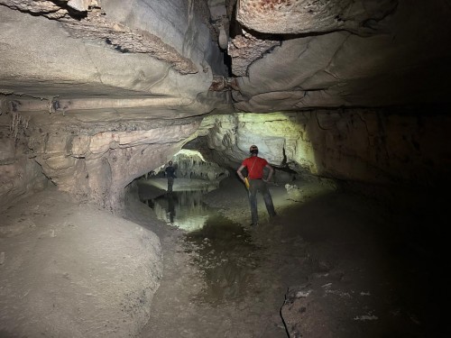 Ramo attivo in Rain Day Cave