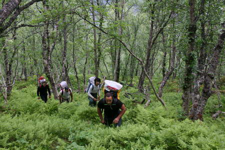 Norvegia2007