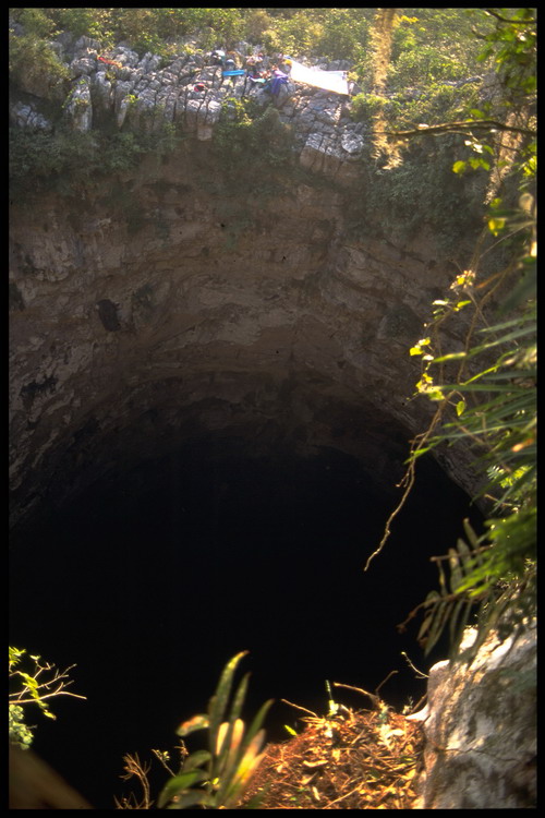  Golondrinas