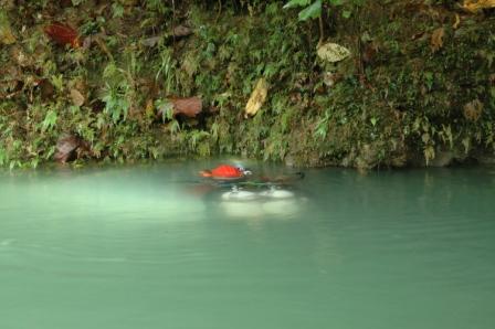 Marc a Balogo Spring, risorgenza di Langun